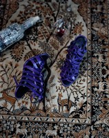 http://davidoshaughnessy.com/files/gimgs/th-26_purple shoe copy.jpg